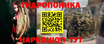 СК Можга
