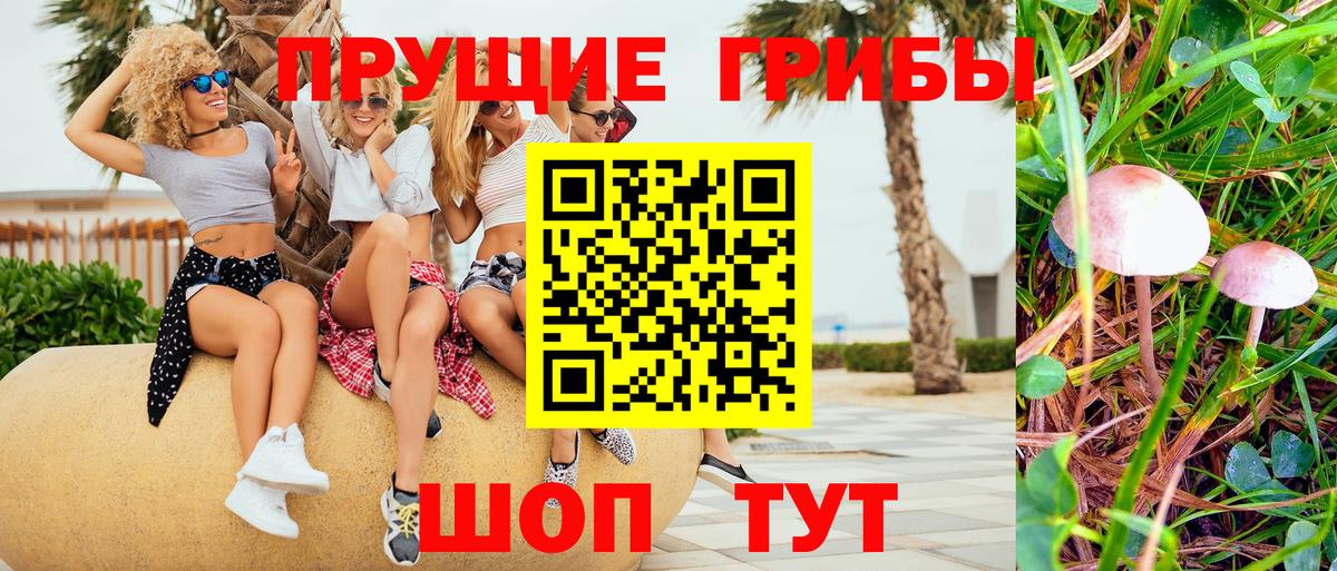 Сланцы  Псилоцибиновые грибы мицелий  Вход с VPN 