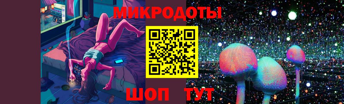 Псилоцибиновые грибы Psilocybine cubensis Сланцы